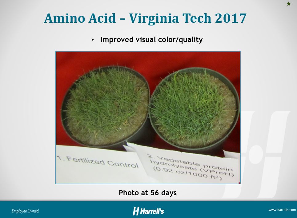 Amino Acid Research PPT Image